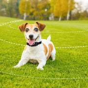 Wireless Dog Fence & Training Collar System with 990ft Range