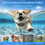 Dog Training Collar with Remote and Bark Control