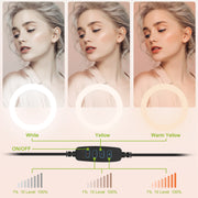 10" LED Ring Light – Dimmable, Tripod Stand, Phone Holder, USB Powered