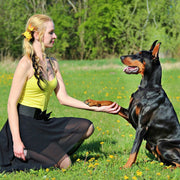 Wireless Dog Fence & Training Collar System with 990ft Range