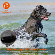 Wireless Dog Fence & Training Collar System with 990ft Range