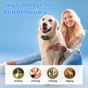 Dog Training Collar with Remote and Bark Control