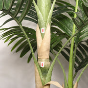 6FT Artificial Golden Cane Palm Tree with Black Pot