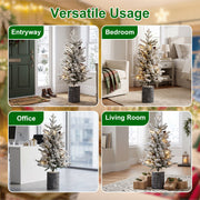 2FT Pre-Lit Flocked Christmas Tree with Pot & Pine Cones