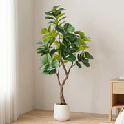 6FT Artificial Fiddle Leaf Fig Tree with White Pot