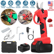 Cordless Electric Pruning Shears 21V with 2 Batteries