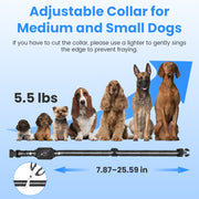 Dog Training Collar with Remote and Bark Control