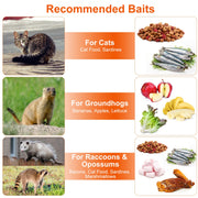 Live Animal Trap Cage 37x14x15in Folding Catch and Release Humane Cat Trap Galvanized Iron for Raccoons Foxes Coyotes Stray Dogs Armadillos Squirrels