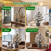 2FT Pre-Lit Flocked Christmas Tree with Pot & Pine Cones