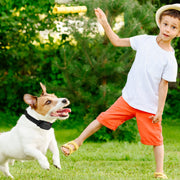 Wireless Dog Fence & Training Collar System with 990ft Range